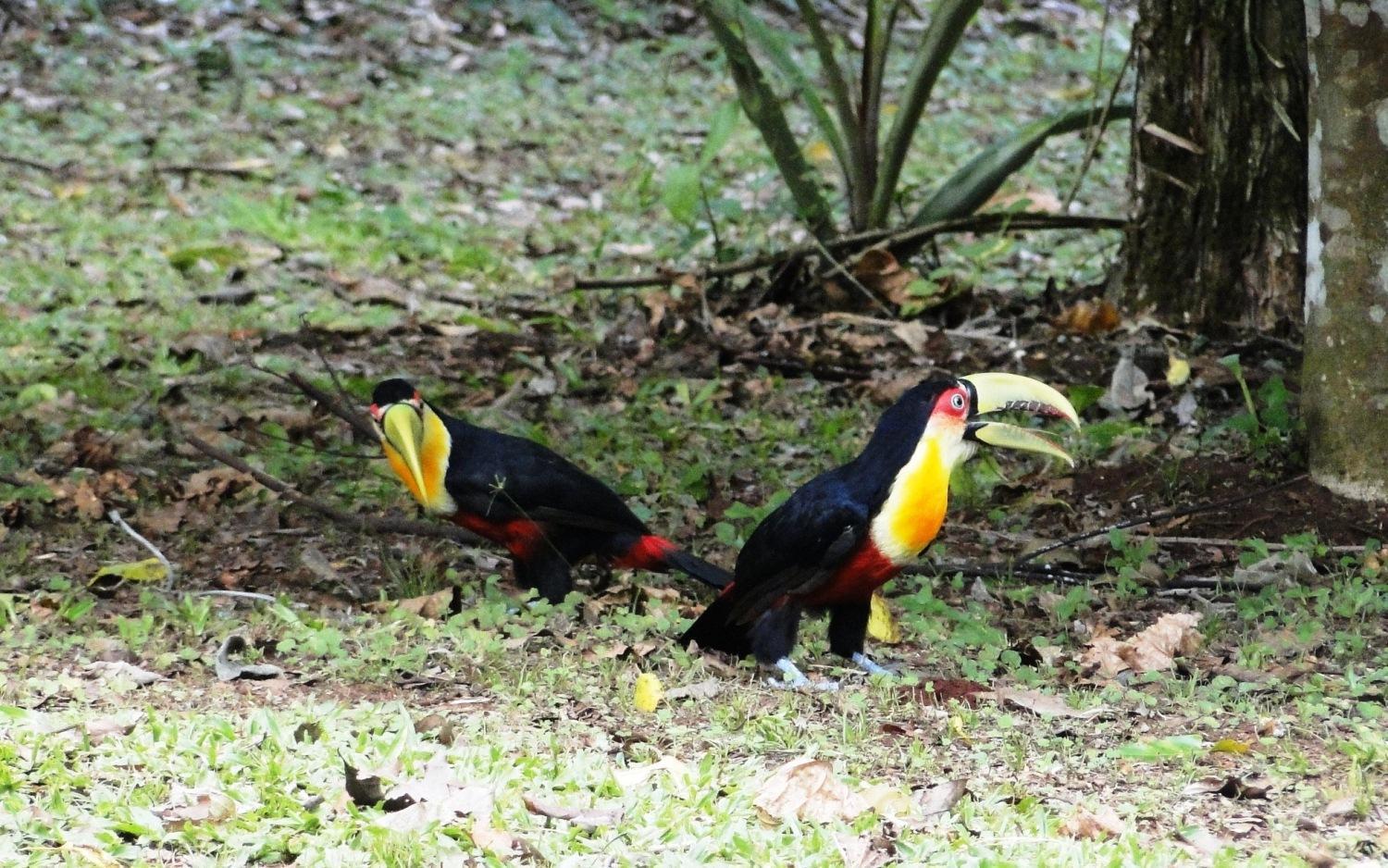 Yasi Yatere Reserva Agroecologica Эль-Собербио Экстерьер фото