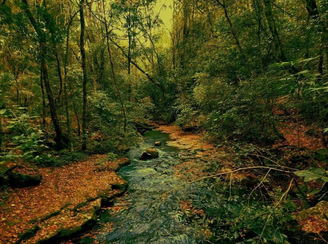 Yasi Yatere Reserva Agroecologica Эль-Собербио Экстерьер фото
