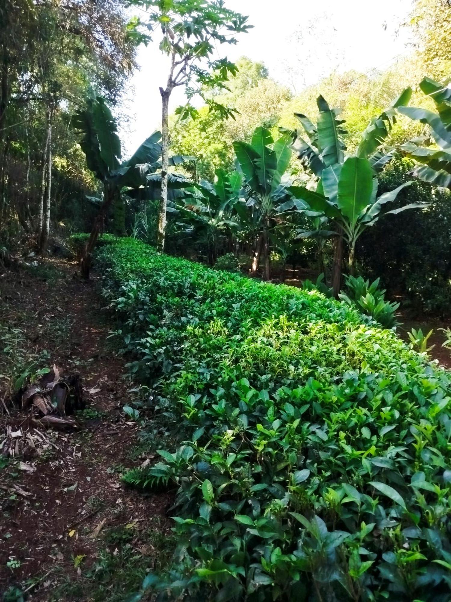 Yasi Yatere Reserva Agroecologica Эль-Собербио Экстерьер фото